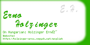 erno holzinger business card